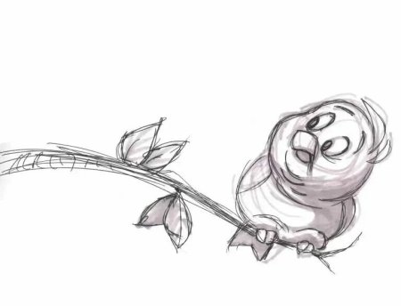 Этапы рисования цветка