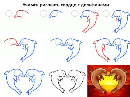 Как нарисовать дельфина поэтапно