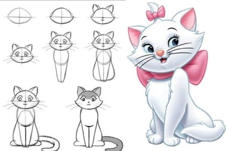 Рисуем кошку