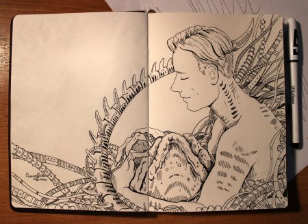 Скетчбук грибы