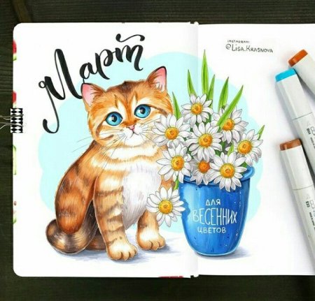 Кот маркерами