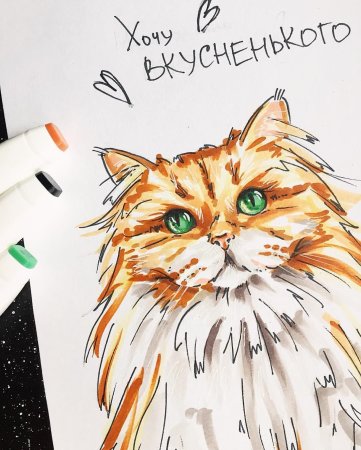 Кот рисунок маркерами