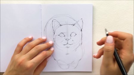 Маркеры для рисования котики для начинающих