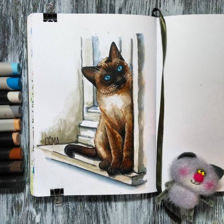 Котик в скетчбуке