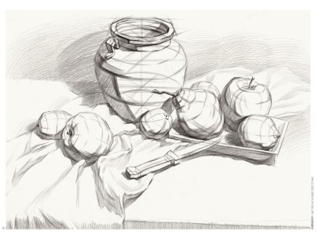 Натюрморт карандашом