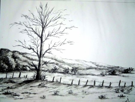 Пейзаж углем для начинающих