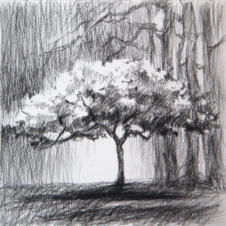 Дерево карандашом