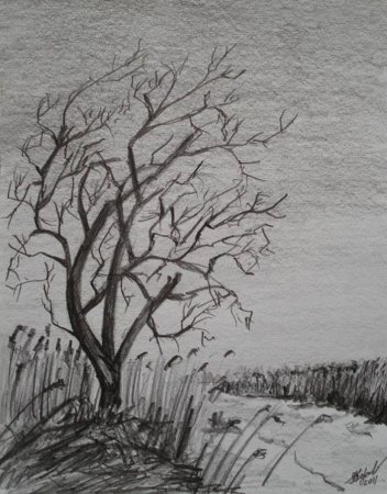 Пейзаж простым карандашом
