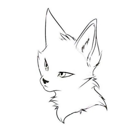 Срисовки котов воителей