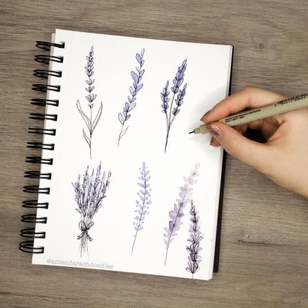 Рисунки растений в скетчбук