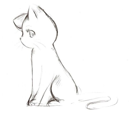 Рисунки лёгкие котики