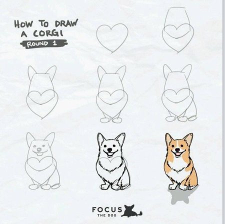Корги рисунок пошагово