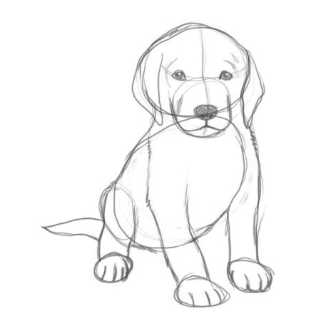Рисунок собаки для срисовки легкие