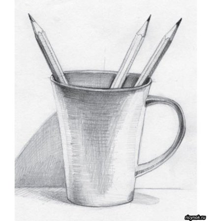 Зарисовки растений