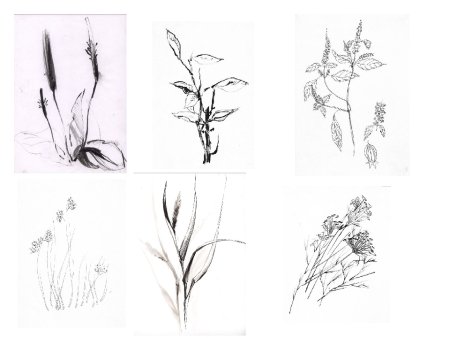 Рисование цветов для начинающих