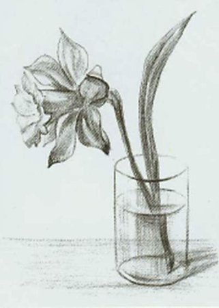 Рисование натюрморта пошагово