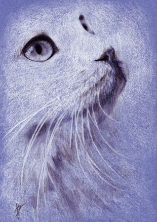 Рисунок пастелью несложный