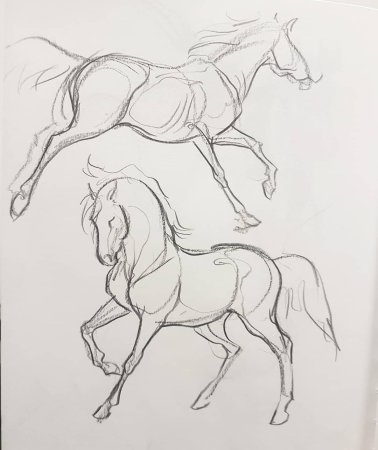 Лошадь рисунок карандашом