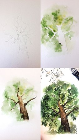 Рисование акварелью для начинающих