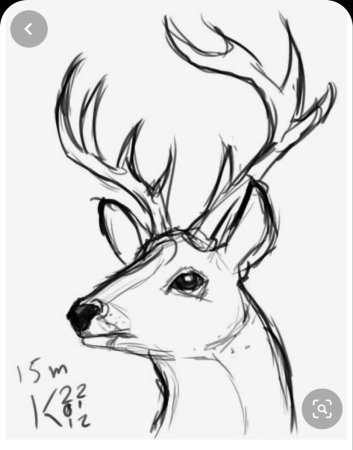 Рисунки карандашом