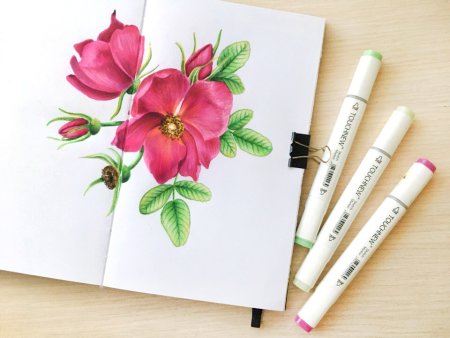 Финнколор маркеры