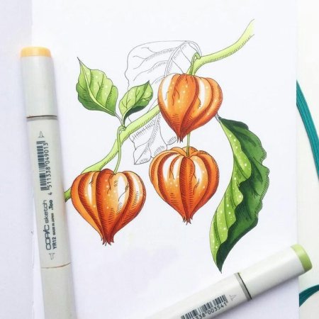 Груша маркерами для скетчинга