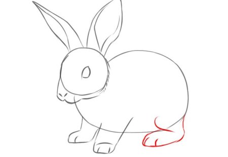 Уроки рисования зайца