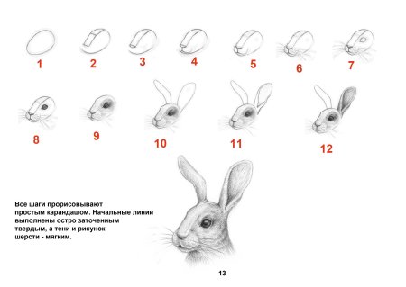 Рисование с детьми заяц