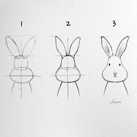 Пошаговое рисование зайца