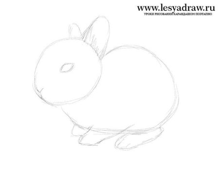 Кролик пошаговый рисунок
