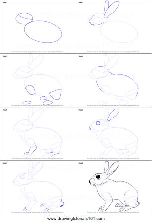 Этапы рисования кролика сбоку
