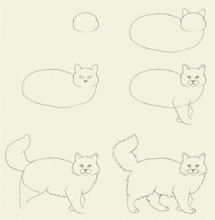 Поэтапное рисование кота