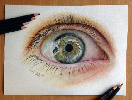 Рисунки цветными карандашами