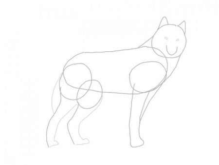 Рисунок волка для детей лёгкий