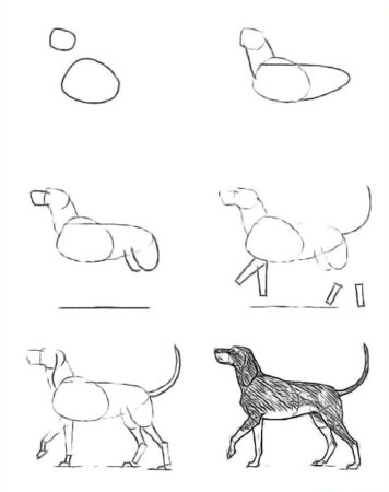 Схема рисования собаки