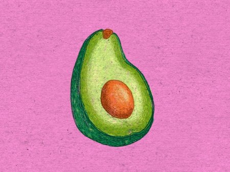 Авокадо рисунок для срисовки