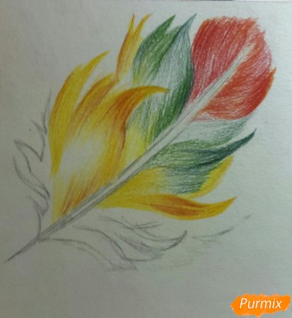 Поэтапное рисование цветными карандашами