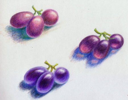 Ягоды цветными карандашами
