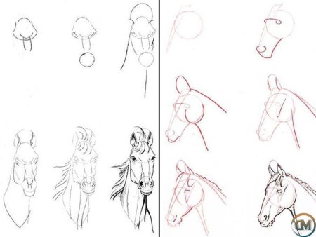 Схема рисования розы карандашом