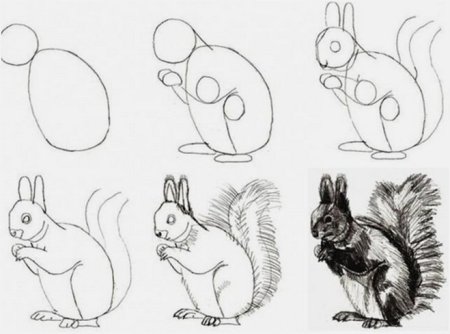 Этапы рисования цветка