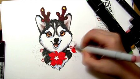 Кот фломастерами