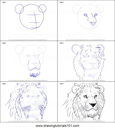 Нарисовать лежащего Льва