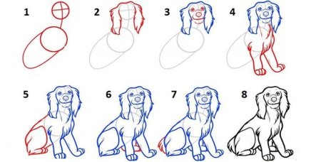 Портрет Ивана Сусанина нарисовать карандашом