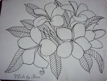 Эскиз батика лёгкий карандашом