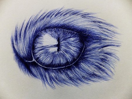 Глаз шариковой ручкой