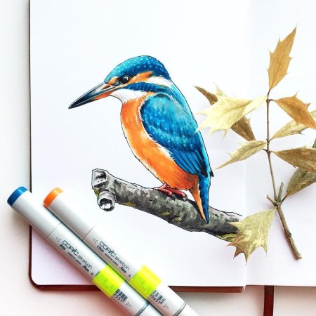 Рисунки фломастерами