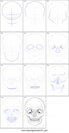 Поэтапное рисование черепа