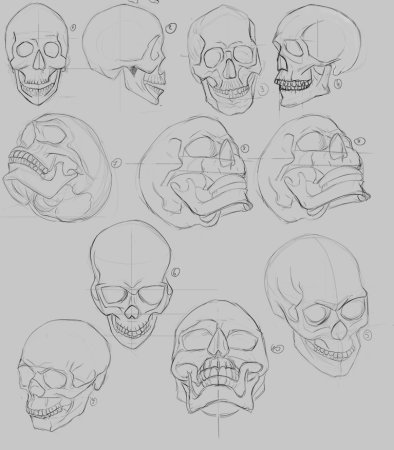 Поэтапное рисование черепа
