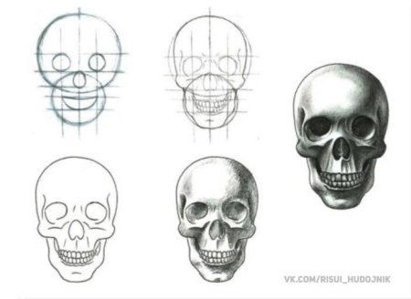 Рисование пошагово череп