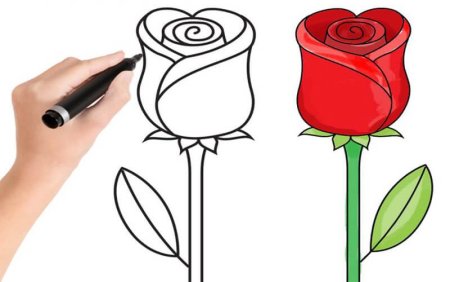 Как научиться рисовать розу